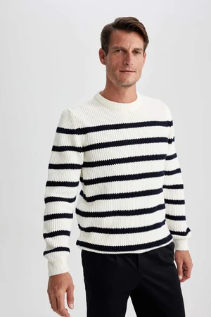 DEFACTO Standard Fit Crew Neck Knitwear Pullover