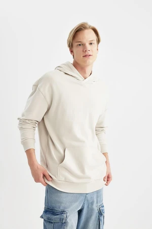 DEFACTO Comfort Fit Hooded Basic Sweatshirt