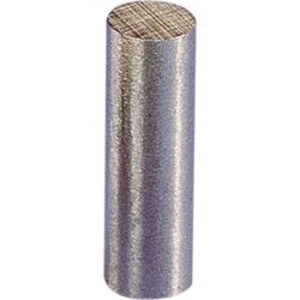 Magnet permanentní, 6x24 mm, válečkový