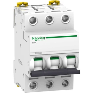 Schneider Electric A9F93304 A9F93304 elektrický istič     4 A  400 V