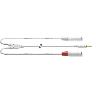 Cordial  audio káblový adaptér [1x jack zástrčka 3,5 mm - 2x XLR zásuvka] 3.00 m biela