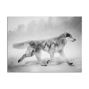 Obraz Styler Canvas Nordic Wolf, 75 × 100 cm