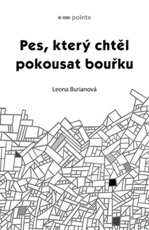 Pes, který chtěl pokousat bouřku - Leona Burianová - e-kniha