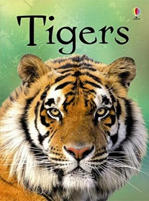 Beginners Tigers - James Maclaine