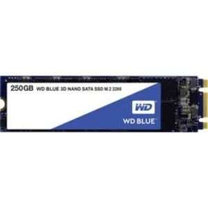 Interní SSD disk SATA M.2 2280 250 GB WD Blue™ Retail WDS250G2B0B M.2 SATA 6 Gb/s