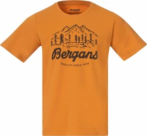 Bergans Classic V2 Tee Men Golden Field S Camiseta