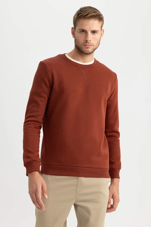 DEFACTO Regular Fit Sweatshirt