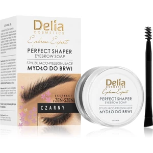 Delia Cosmetics Eyebrow Expert fixačný vosk na obočie odtieň Black 10 ml