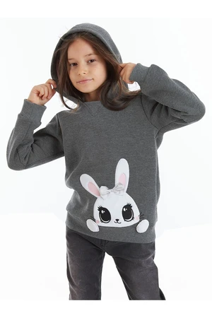 Denokids Cute Rabbit Girls Sweatshirt