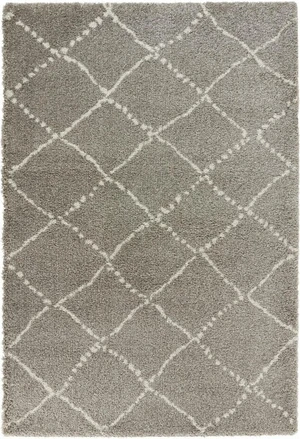 Kusový koberec Allure 102752 grau creme-80x150