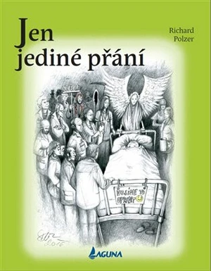 Jen jediné přání - Richard Polzer