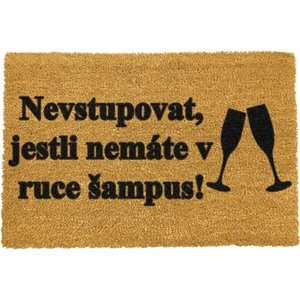 Rohožka z prírodného kokosového vlákna Artsy Doormats Šampus, 40 x 60 cm