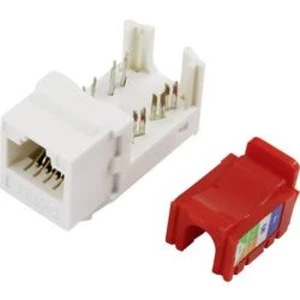 RJ45 konektor TRU COMPONENTS 93013c1174 - zásuvka, zahnutá RJ45 Cat5e šedá, 1 ks