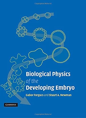 Biological Physics of the Developing Embryo