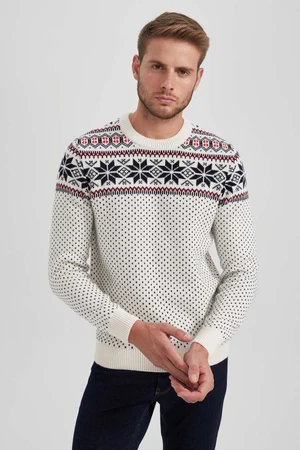 DEFACTO Christmas Themed Standard Fit Regular Cut Patterned Crew Neck Knitwear Sweater