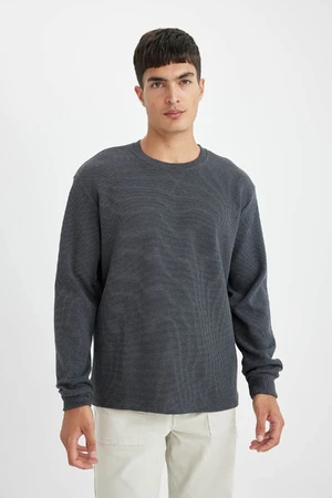 DEFACTO Men's Grey Regular Fit Regular Cut Crew Neck Waffle Long Sleeve T-Shirt