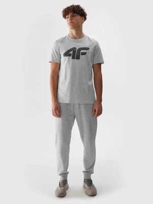 Men's jogger sweatpants 4F - grey