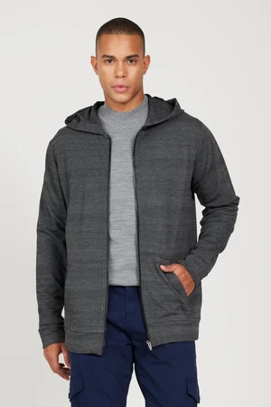 AC&Co / Altınyıldız Classics Men's Black-gray Standard Fit Regular Fit Hooded Zipper Sweatshirt Jacket