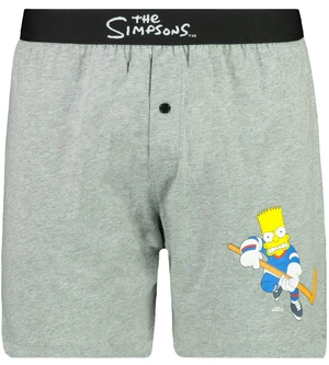 Men’s trunks The Simpsons - Frogies