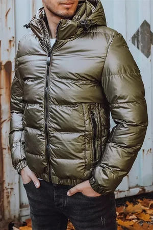 Men's winter jacket with hood Dstreet