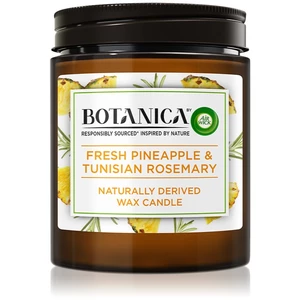 Air Wick Botanica Fresh Pineapple & Tunisian Rosemary vonná sviečka 205 g