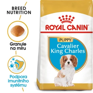 ROYAL CANIN  KAVALÍR JUNIOR - 1,5kg