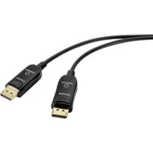 DisplayPort kabel Renkforce [1x zástrčka DisplayPort - 1x zástrčka DisplayPort] černá 30.00 m