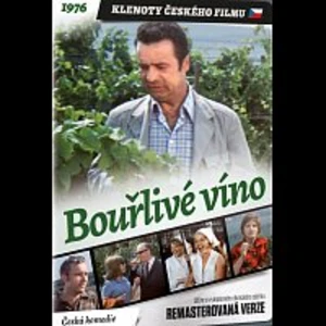 Různí interpreti – Bouřlivé víno DVD