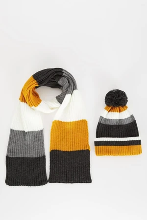 DEFACTO Boy 2-Piece Scarf and Beret Set