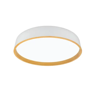 XXXL STROPNÍ LED SVÍTIDLO, 50/8 cm