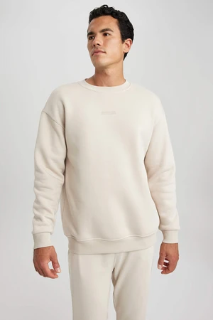 DEFACTO Boxy Fit Long Sleeve Sweatshirt