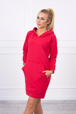 Raspberry dress with hood