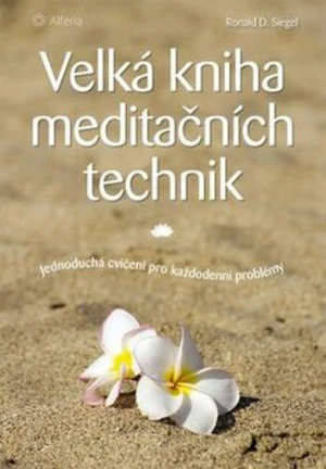 Velká kniha meditačních technik - Ronald D. Siegel