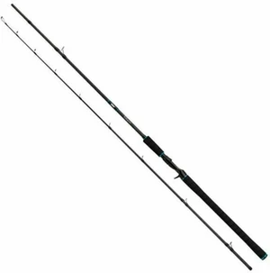 Salmo Tollmaster Rod 2,4 m 40 - 60 g 2 partes