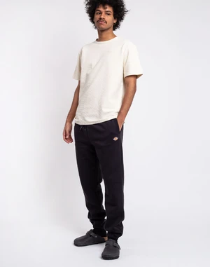 Dickies Mapleton Sweatpant Black S