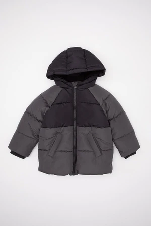 DEFACTO Baby Boy Hooded Water Repellent Block Color Patterned Fleece Lined Puffer Jacket