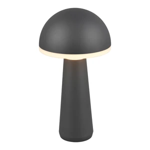 Lampa zewnętrzna ze ściemniaczem ø 16 cm Fungo – Trio