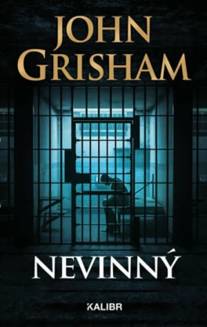 Nevinný - John Grisham