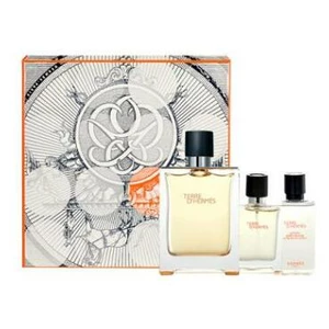 Hermes Terre D Hermes Toaletní voda 100ml Edt 100 + 12,5ml toaletní voda + 40ml voda po holení