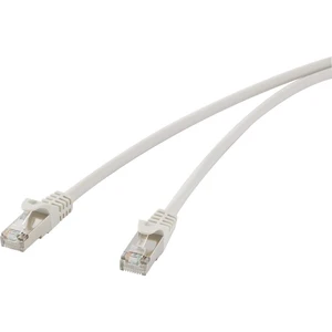 Renkforce RF-4541484 RJ45 sieťové káble, prepojovacie káble CAT 5e F/UTP 25.00 cm sivá s ochranou 1 ks