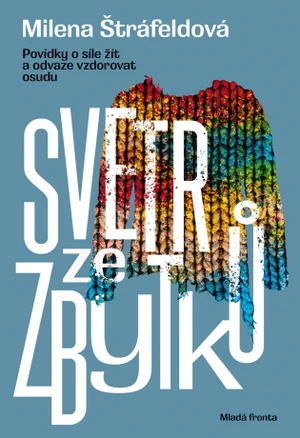 Svetr ze zbytků - Milena Štráfeldová - e-kniha