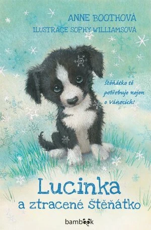 Lucinka a ztracené štěňátko - Boothová Anne - e-kniha