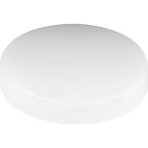 Světelná krytka pro reflektor Mentor, 2451.0300, 18 mm, (Ø x v) 19.1 mm x 3 mm, čirá