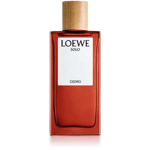 Loewe Solo Cedro toaletní voda pro muže 100 ml