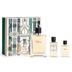 Hermes Terre D´ Hermes - EDT 100 ml + voda po holení 40 ml + EDT 12,5 ml