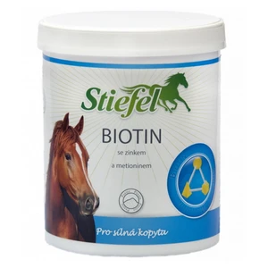 STIEFEL Biotin prášek 1 kg