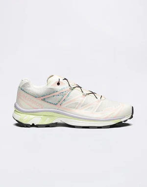 Salomon XT-6 Mindful 3 Vanilla Ice/Cloud Pink/Orchid Petal 38