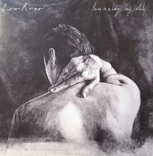 Low Roar - Once In A Long Long While (Reissue) (2 LP)