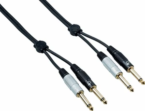 Bespeco EA2J300 3 m Kabel audio