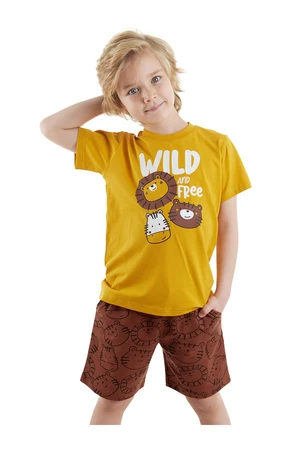 Denokids Wild Boy's Summer T-shirt Shorts Set